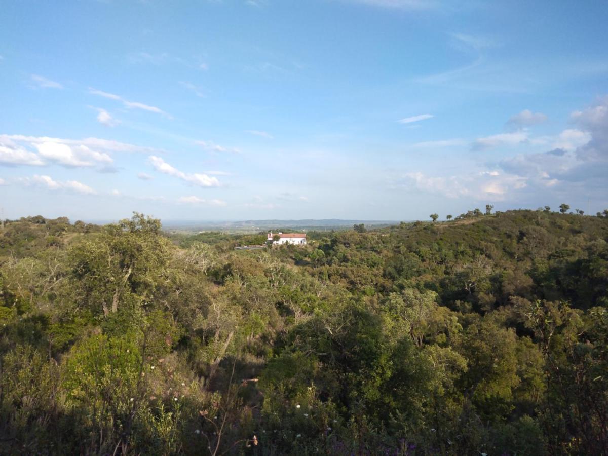 The One - Country House Grandola Bagian luar foto